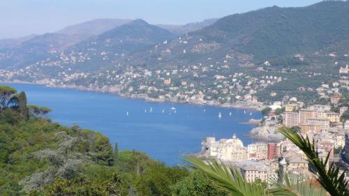 Villa Rosmarino Camogli Bagian luar foto