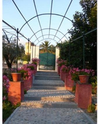 Villa Rosmarino Camogli Bagian luar foto